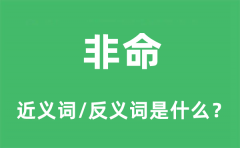 非命的近义词和反义词是什么_非命是什么意思?