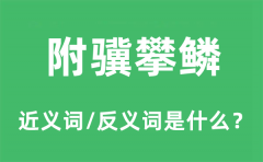 附骥攀鳞的近义词和反义词是什么_附骥攀鳞是什么意思?