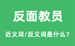 反面教员的近义词和反义词是什么_反面教员是什么意思?