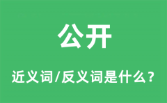 公开的近义词和反义词是什么_公开是什么意思?