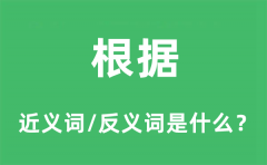 根据的近义词和反义词是什么_根据是什么意思?