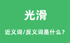 光滑的近义词和反义词是什么_光滑是什么意思?