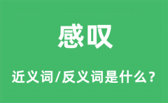 感叹的近义词和反义词是什么_感叹是什么意思?