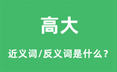 高大的近义词和反义词是什么_高大是什么意思?