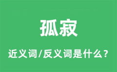 孤寂的近义词和反义词是什么_孤寂是什么意思?