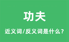 功夫的近义词和反义词是什么_功夫是什么意思?