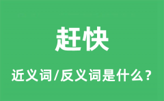 赶快的近义词和反义词是什么_赶快是什么意思?