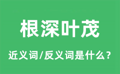 根深叶茂的近义词和反义词是什么_根深叶茂是什么意思?