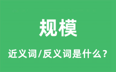 规模的近义词和反义词是什么_规模是什么意思?