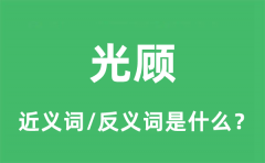 光顾的近义词和反义词是什么_光顾是什么意思?
