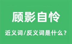 顾影自怜的近义词和反义词是什么_顾影自怜是什么意思?