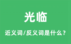 光临的近义词和反义词是什么_光临是什么意思?