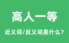 高人一等的近义词和反义词是什么_高人一等是什么意思?