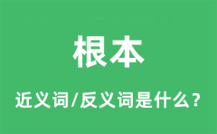 根本的近义词和反义词是什么_根本是什么意思?