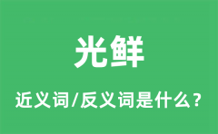 光鲜的近义词和反义词是什么_光鲜是什么意思?