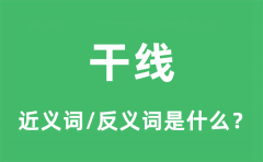 干线的近义词和反义词是什么_干线是什么意思?