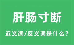 肝肠寸断的近义词和反义词是什么_肝肠寸断是什么意思?