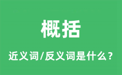 概括的近义词和反义词是什么_概括是什么意思?