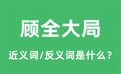 顾全大局的近义词和反义词是什么_顾全大局是什么意思?