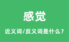 感觉的近义词和反义词是什么_感觉是什么意思?