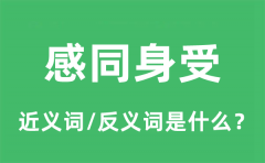 感同身受的近义词和反义词是什么_感同身受是什么意思?