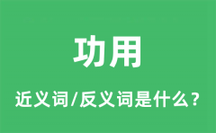 功用的近义词和反义词是什么_功用是什么意思?