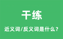 干练的近义词和反义词是什么_干练是什么意思?