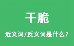 干脆的近义词和反义词是什么_干脆是什么意思?