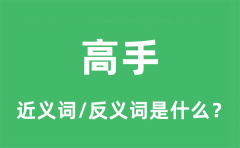 高手的近义词和反义词是什么_高手是什么意思?