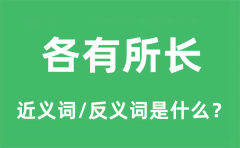 各有所长的近义词和反义词是什么_各有所长是什么意思?