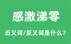 感激涕零的近义词和反义词是什么_感激涕零是什么意思?