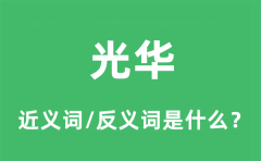 光华的近义词和反义词是什么_光华是什么意思?