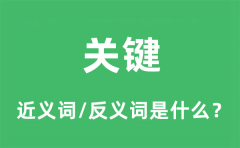 关键的近义词和反义词是什么_关键是什么意思?