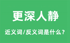 更深人静的近义词和反义词是什么_更深人静是什么意思?