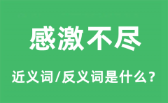 感激不尽的近义词和反义词是什么_感激不尽是什么意思?