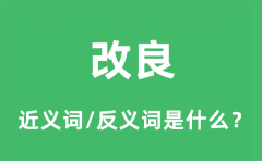 改良的近义词和反义词是什么_改良是什么意思?