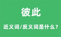 彼此的近义词和反义词是什么_彼此是什么意思?
