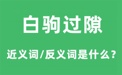 白驹过隙的近义词和反义词是什么_白驹过隙是什么意思?