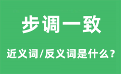 步调一致的近义词和反义词是什么_步调一致是什么意思?