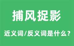 捕风捉影的近义词和反义词是什么_捕风捉影是什么意思?