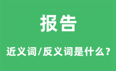 报告的近义词和反义词是什么_报告是什么意思?