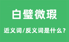 白璧微瑕的近义词和反义词是什么_白璧微瑕是什么意思?