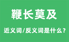 鞭长莫及的近义词和反义词是什么_鞭长莫及是什么意思?