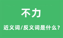 不力的近义词和反义词是什么_不力是什么意思?