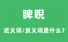 睥睨的近义词和反义词是什么_睥睨是什么意思?