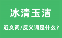 冰清玉洁的近义词和反义词是什么_冰清玉洁是什么意思?