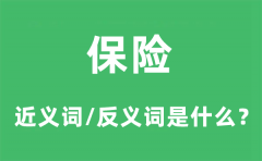 保险的近义词和反义词是什么_保险是什么意思?