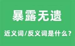 暴露无遗的近义词和反义词是什么_暴露无遗是什么意思?