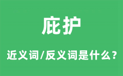 庇护的近义词和反义词是什么_庇护是什么意思?