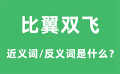 比翼双飞的近义词和反义词是什么_比翼双飞是什么意思?